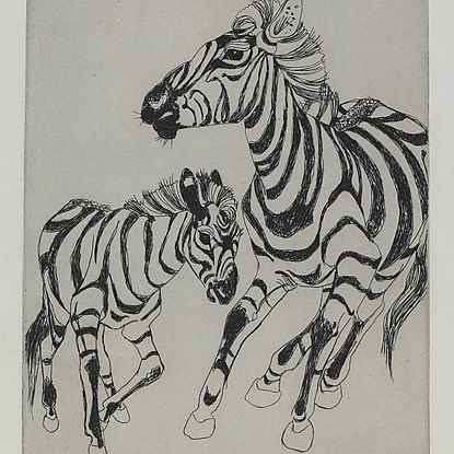 Zebra and Foal - Orovida Pissarro (1893 - 1968)