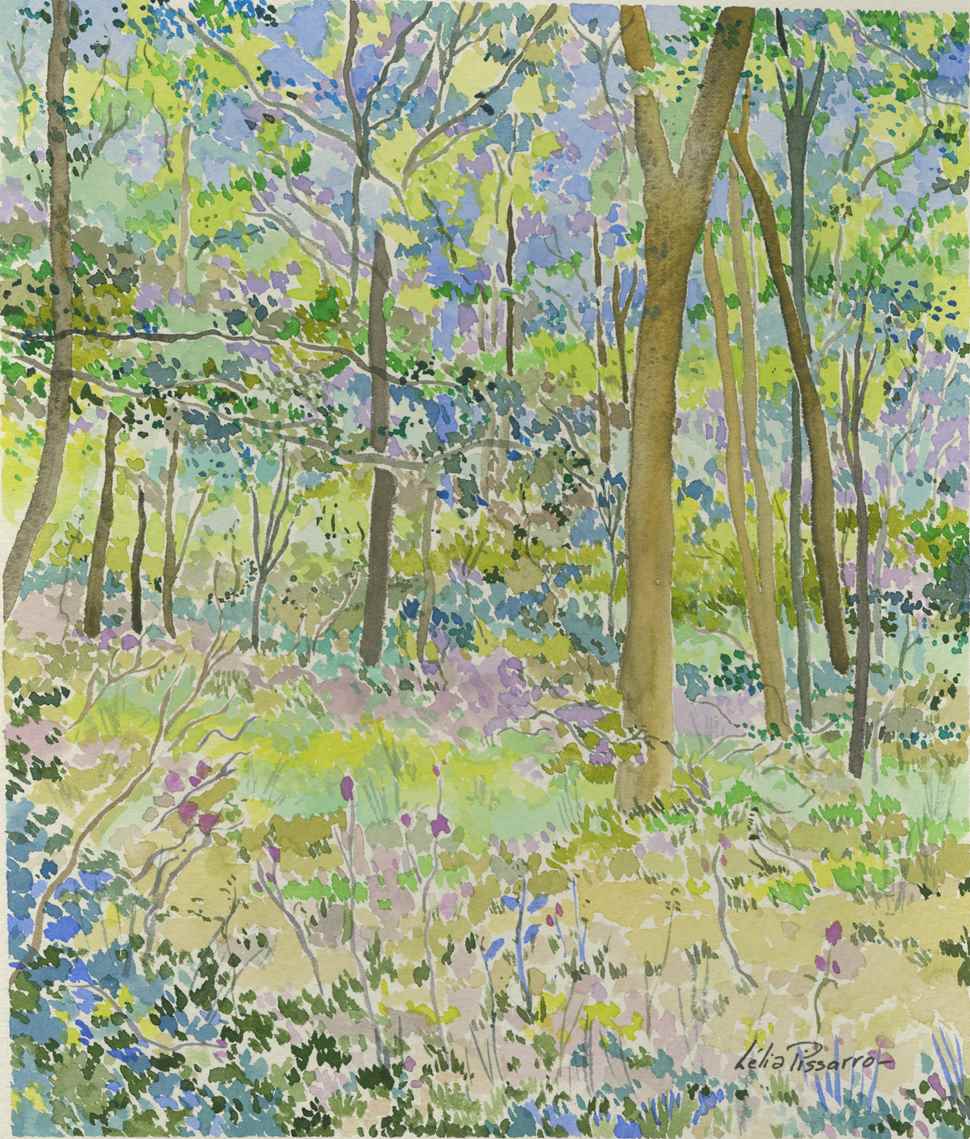 Richmond Park Sous-Bois  - Lélia Pissarro, Figurative (b. 1963 - )