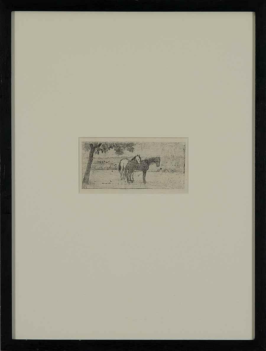Two Horses in a Field - Félix Pissarro (1874 - 1897)