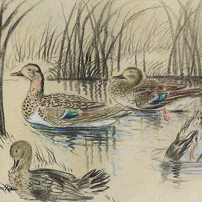 Wild Ducks - Georges Manzana Pissarro (1871 - 1961)
