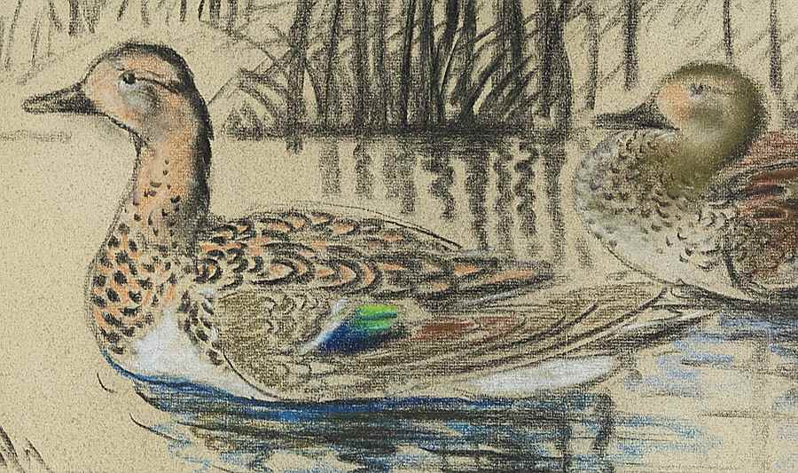 Wild Ducks - Georges Manzana Pissarro (1871 - 1961)