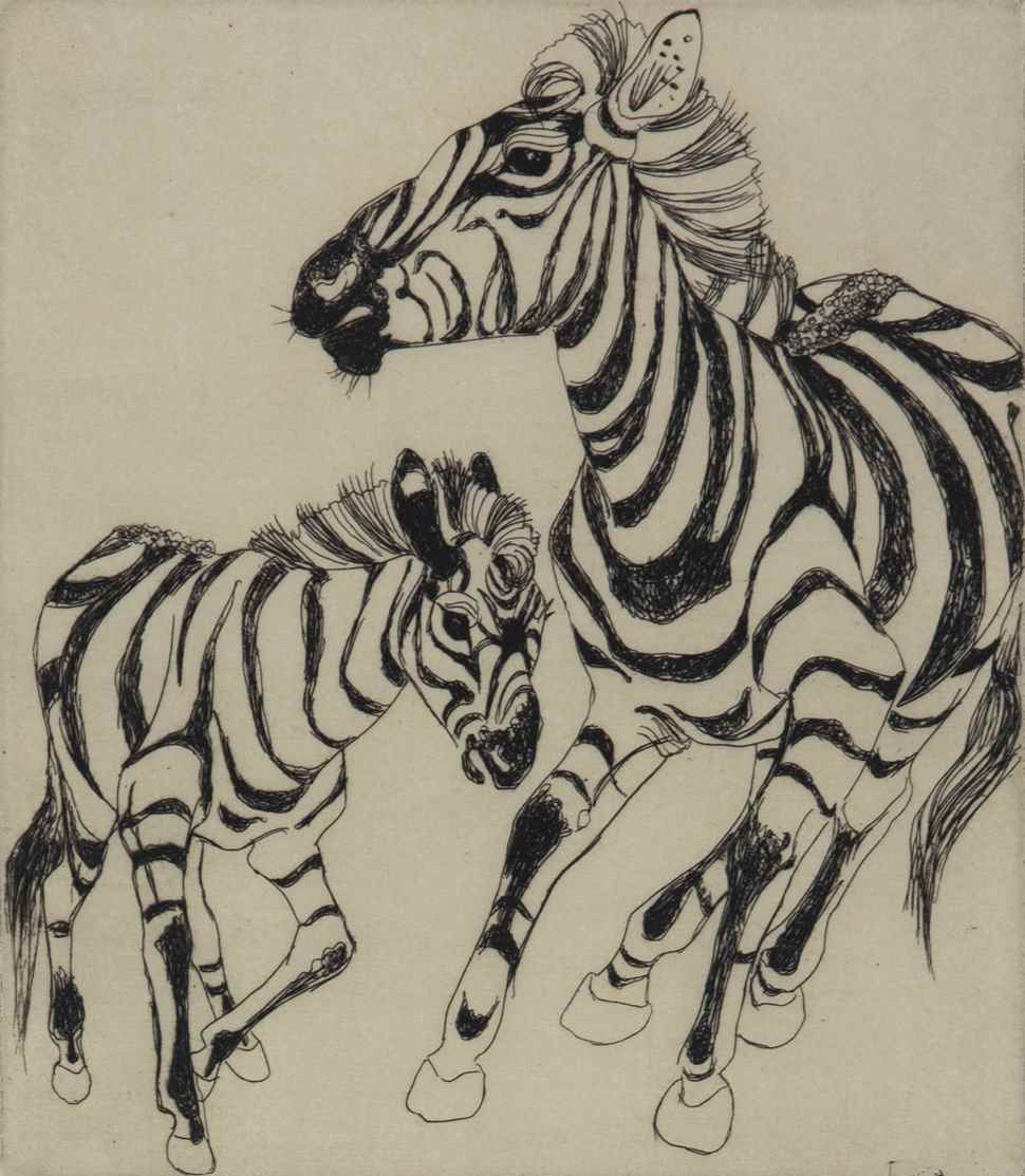 Zebra and Foal - Orovida Pissarro (1893 - 1968)