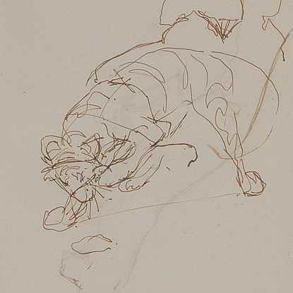 Study of Crouching Tiger - Orovida Pissarro (1893 - 1968)