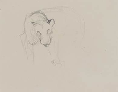 Orovida Pissarro - Study of Large Wild Cat Head