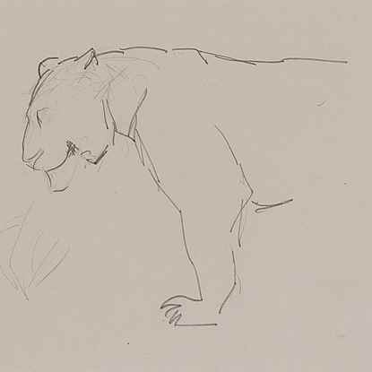 Lioness in Profile - Orovida Pissarro (1893 - 1968)