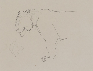 Orovida Pissarro - Lioness in Profile