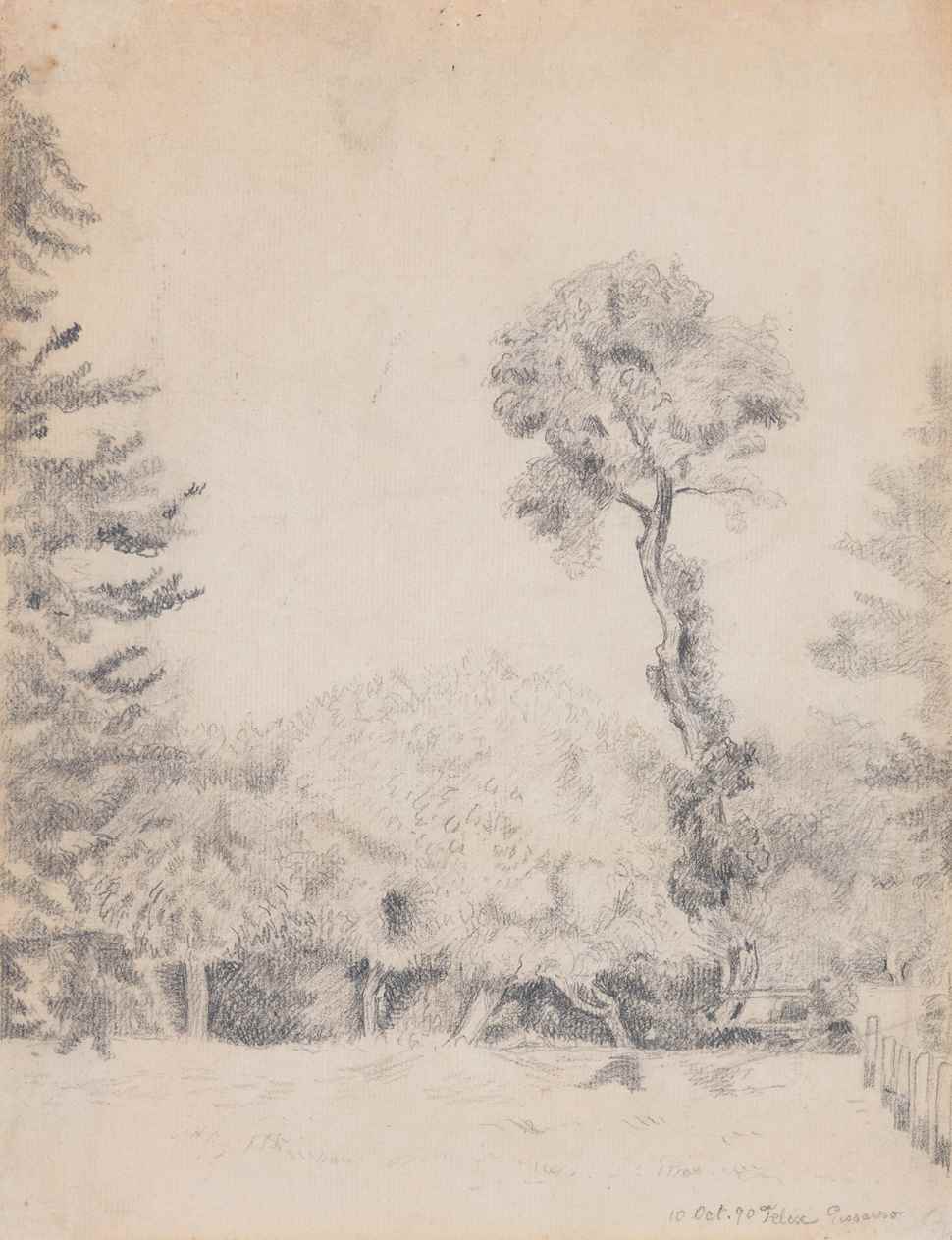 Landscape with Trees - Félix Pissarro (1874 - 1897)