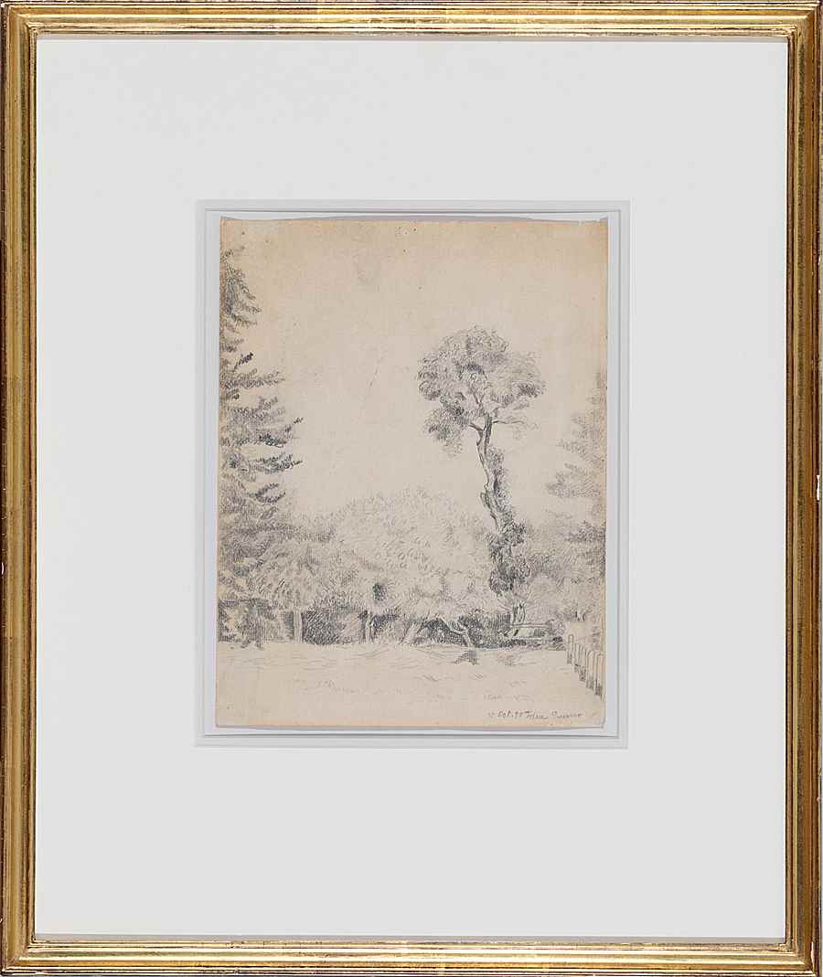 Landscape with Trees - Félix Pissarro (1874 - 1897)