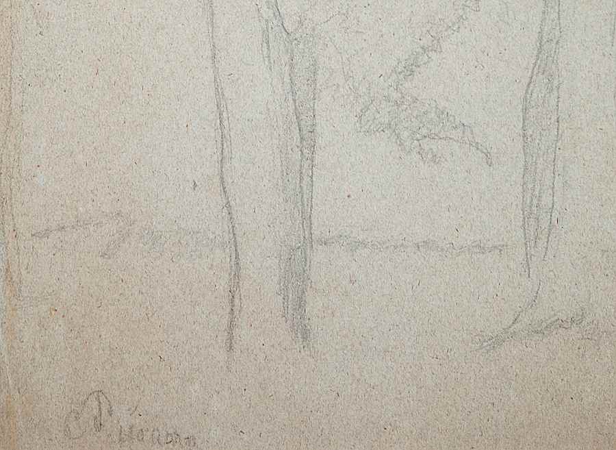 Arbres - Camille Pissarro (1830 - 1903)