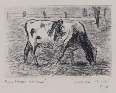 Hugues Pissarro dit Pomié - Cow