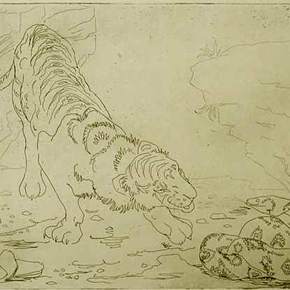 Tiger and Python - Orovida Pissarro (1893 - 1968)