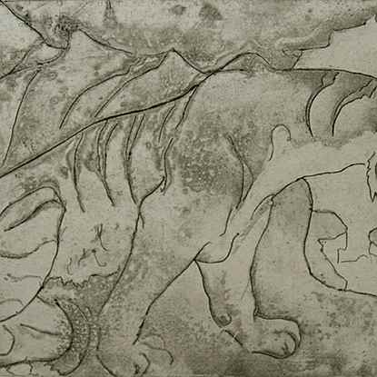 Tiger in cave - Orovida Pissarro (1893 - 1968)