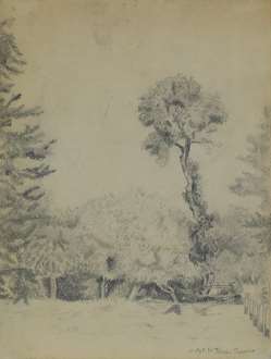 FélixPissarro - Landscape with Trees