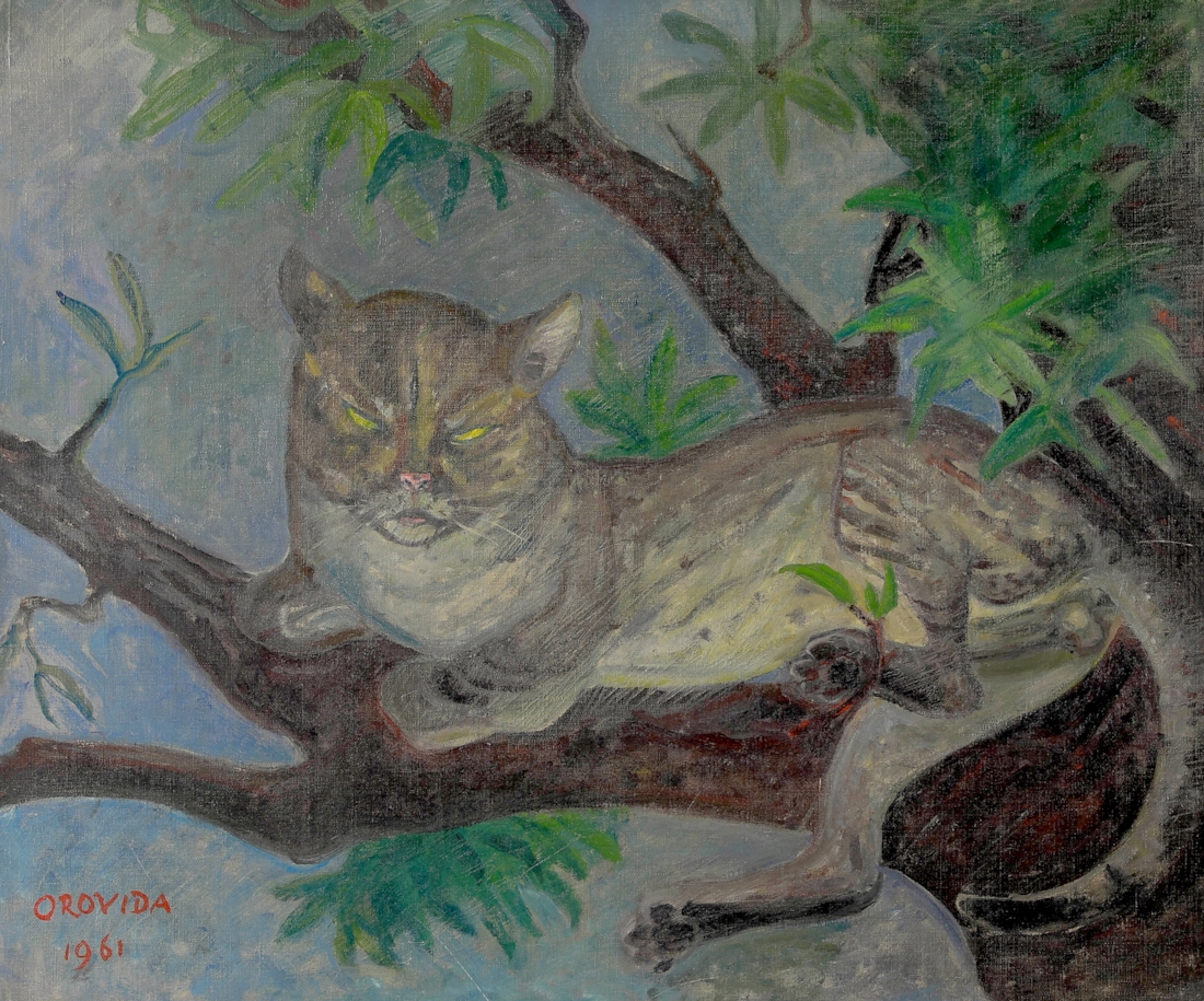 Tom Cat