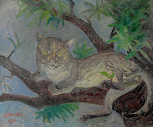 Orovida Pissarro - Tom Cat