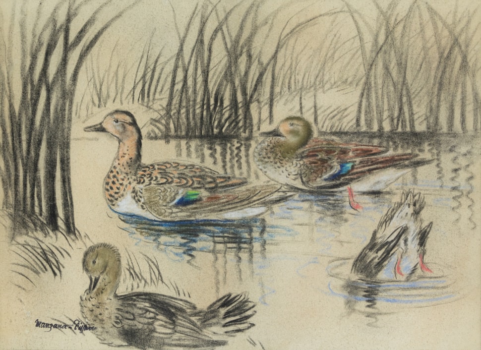 Wild Ducks - Georges Manzana Pissarro (1871 - 1961)