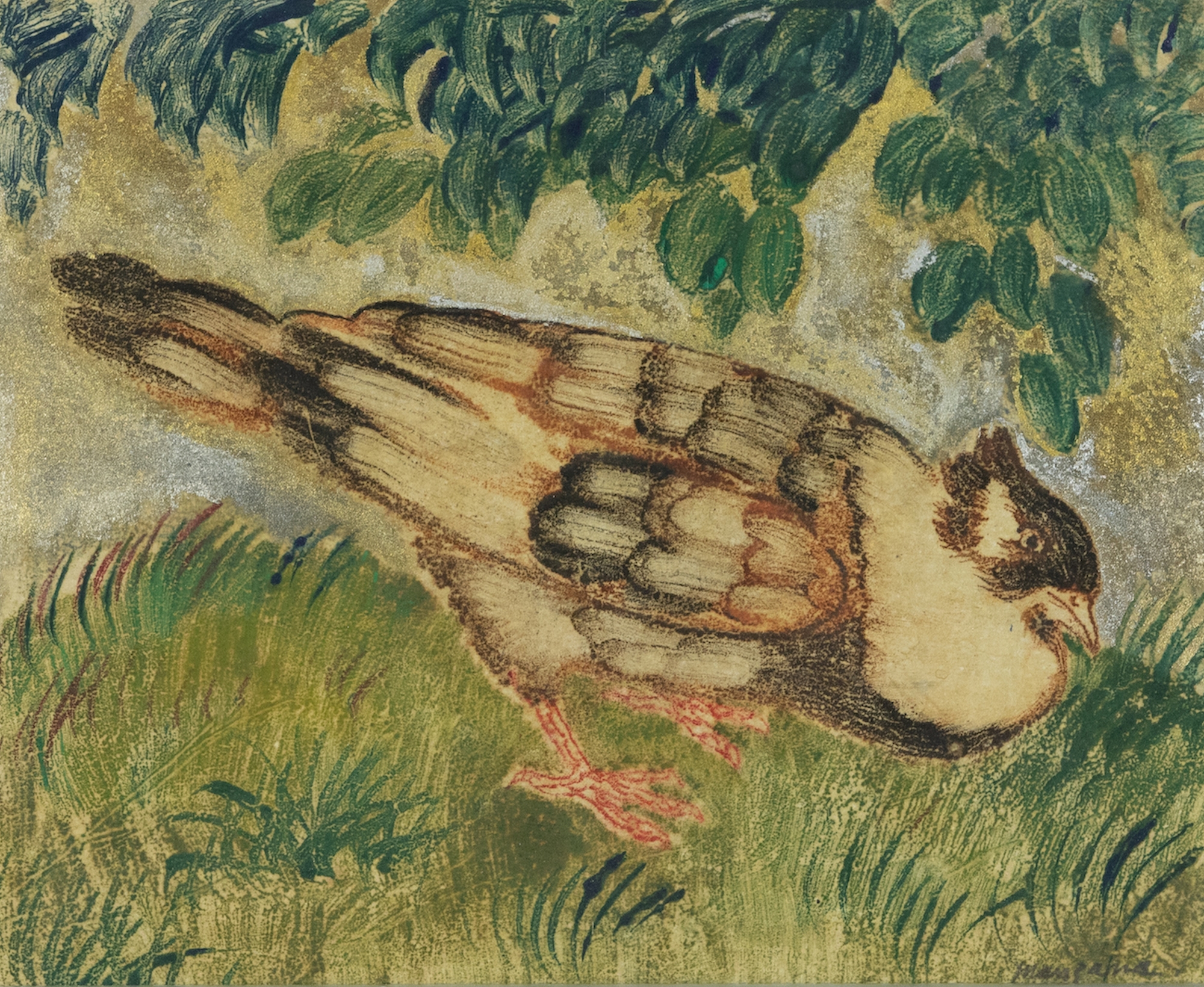 main image