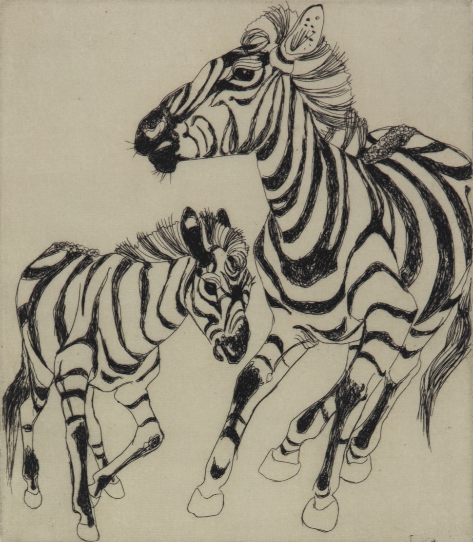 Zebra and Foal - Orovida Pissarro (1893 - 1968)