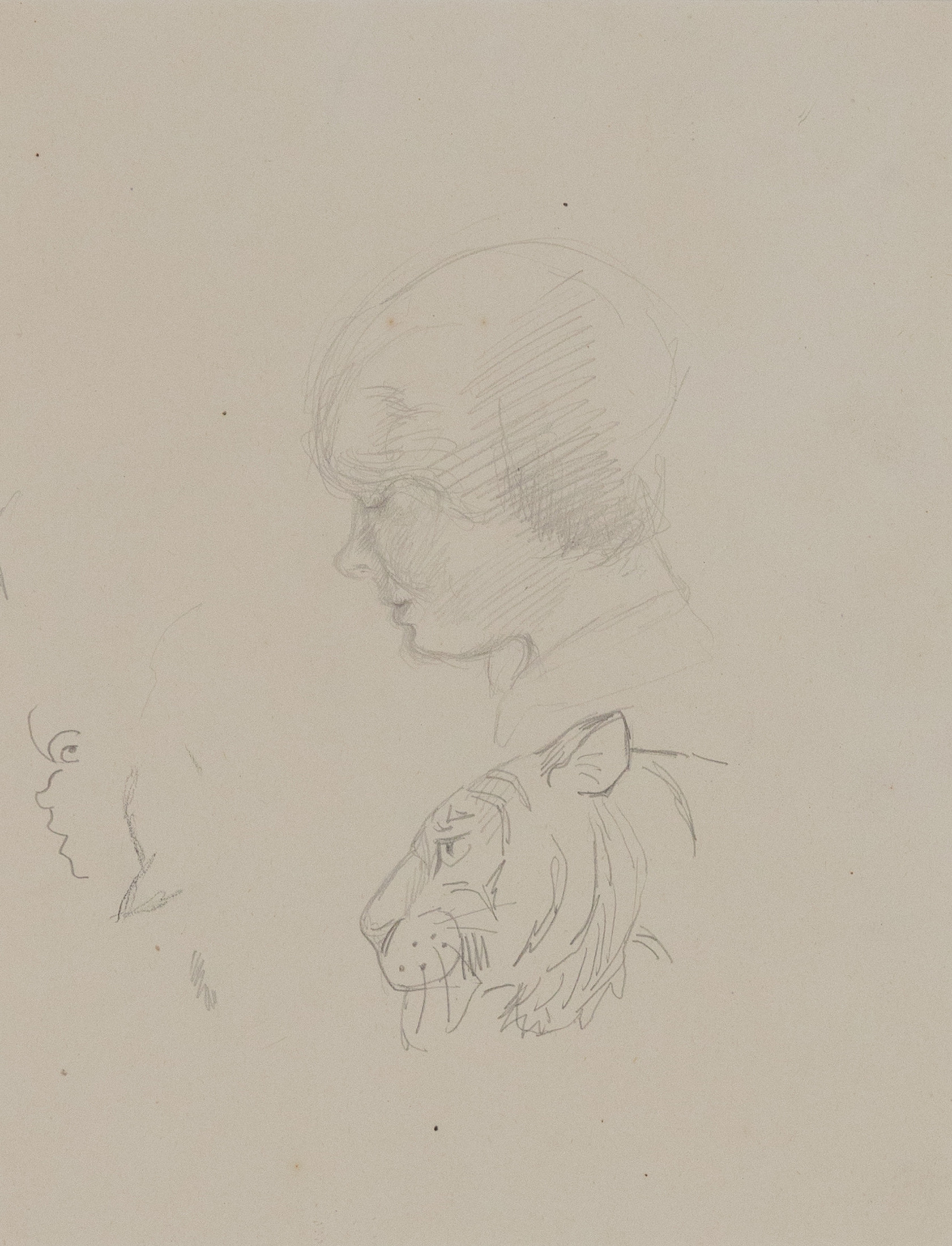 A Study of Human Head and Tiger - Orovida Pissarro (1893 - 1968)