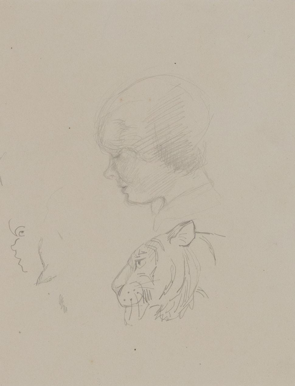 A Study of Human Head and Tiger - Orovida Pissarro (1893 - 1968)