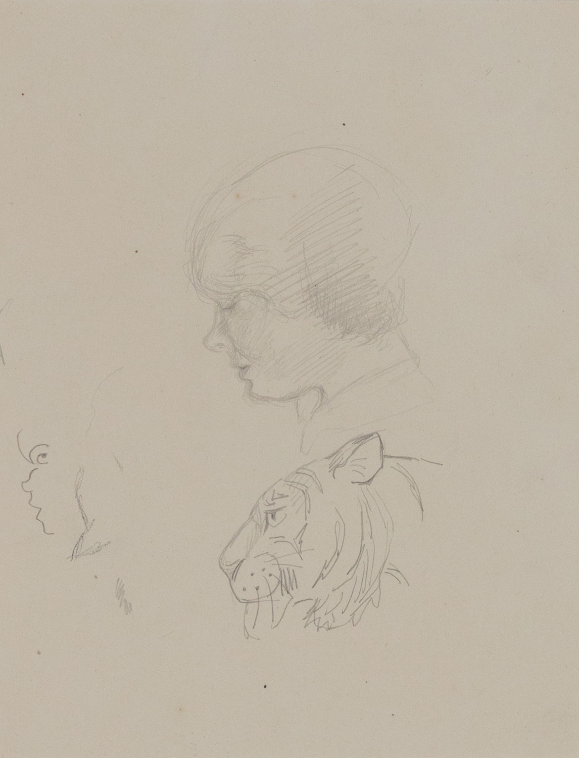 A Study of Human Head and Tiger - Orovida Pissarro (1893 - 1968)