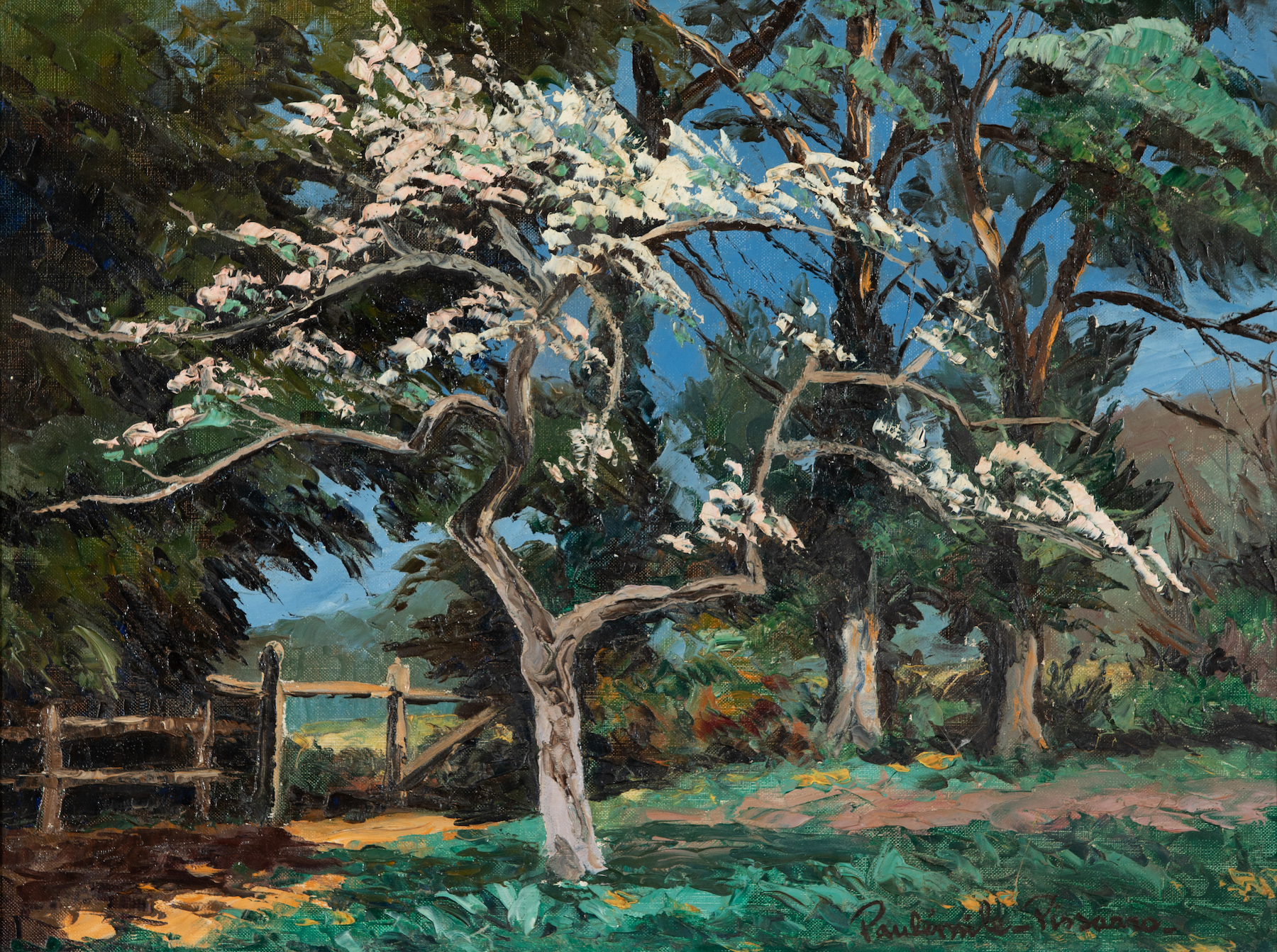 Paulémile Pissarro - Poirier en fleurs