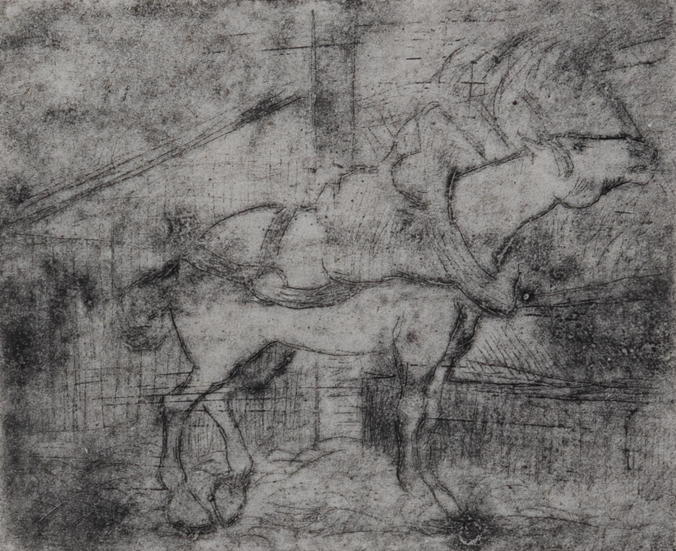 Horse - Félix Pissarro (1874 - 1897)