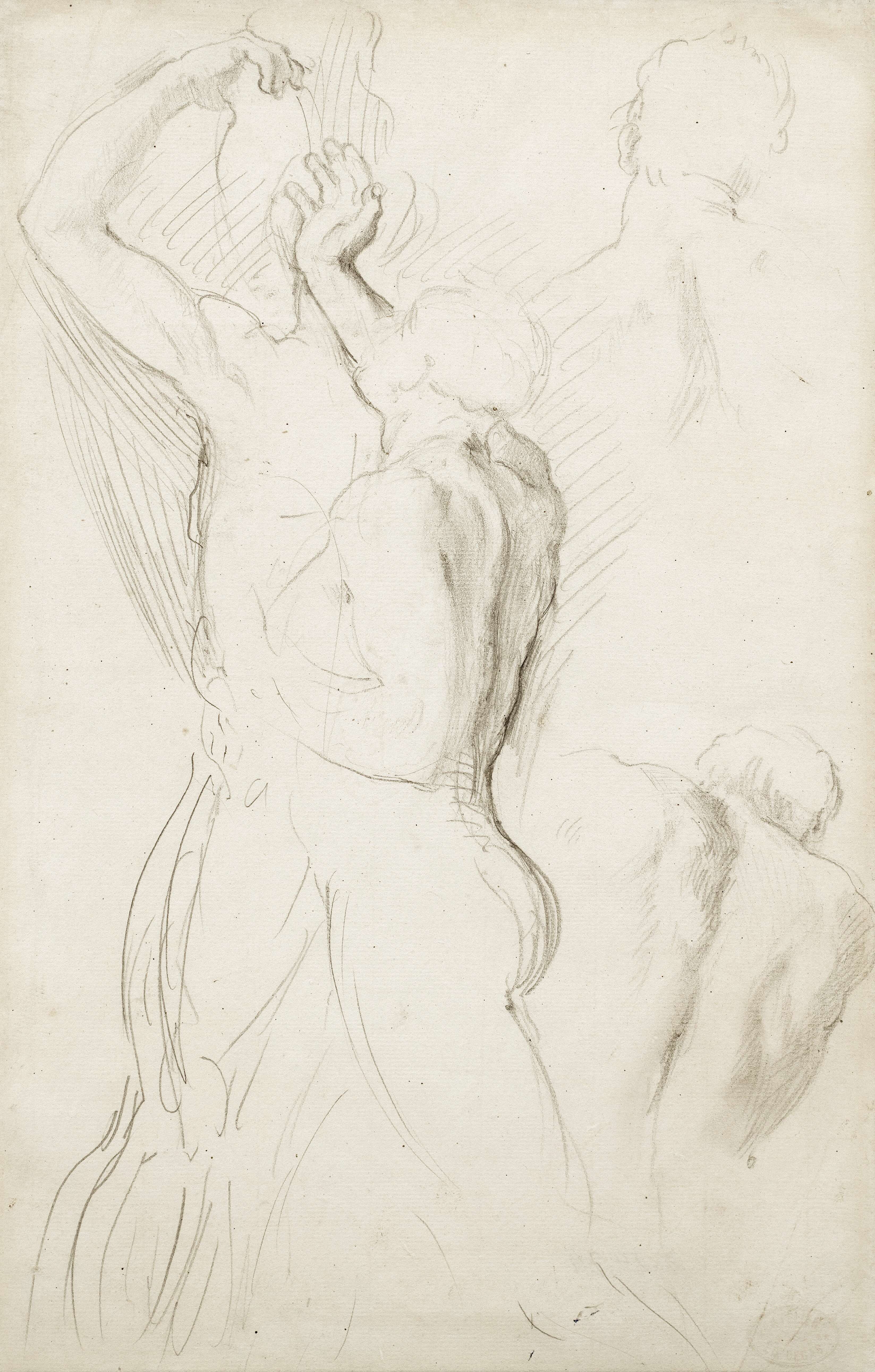 Four anatomy studies, after the old masters