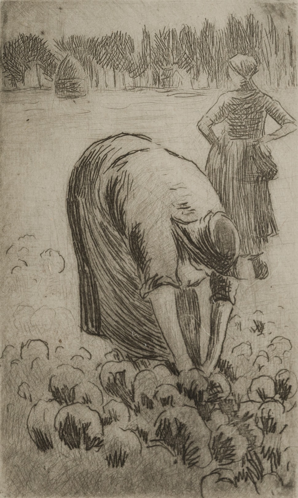 Femme cueillant des choux - Camille Pissarro (1830 - 1903)