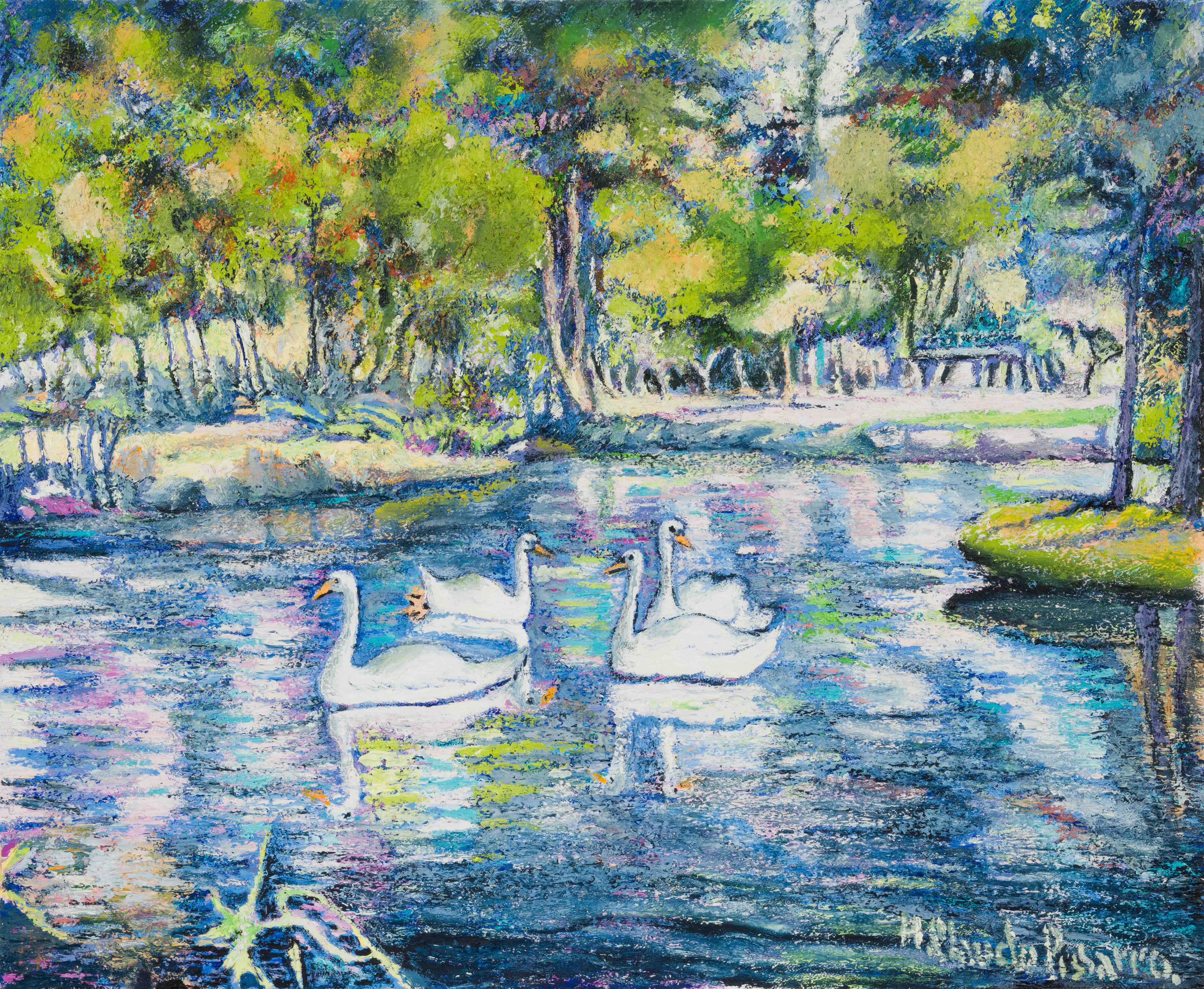 Les cygnes de la forêt