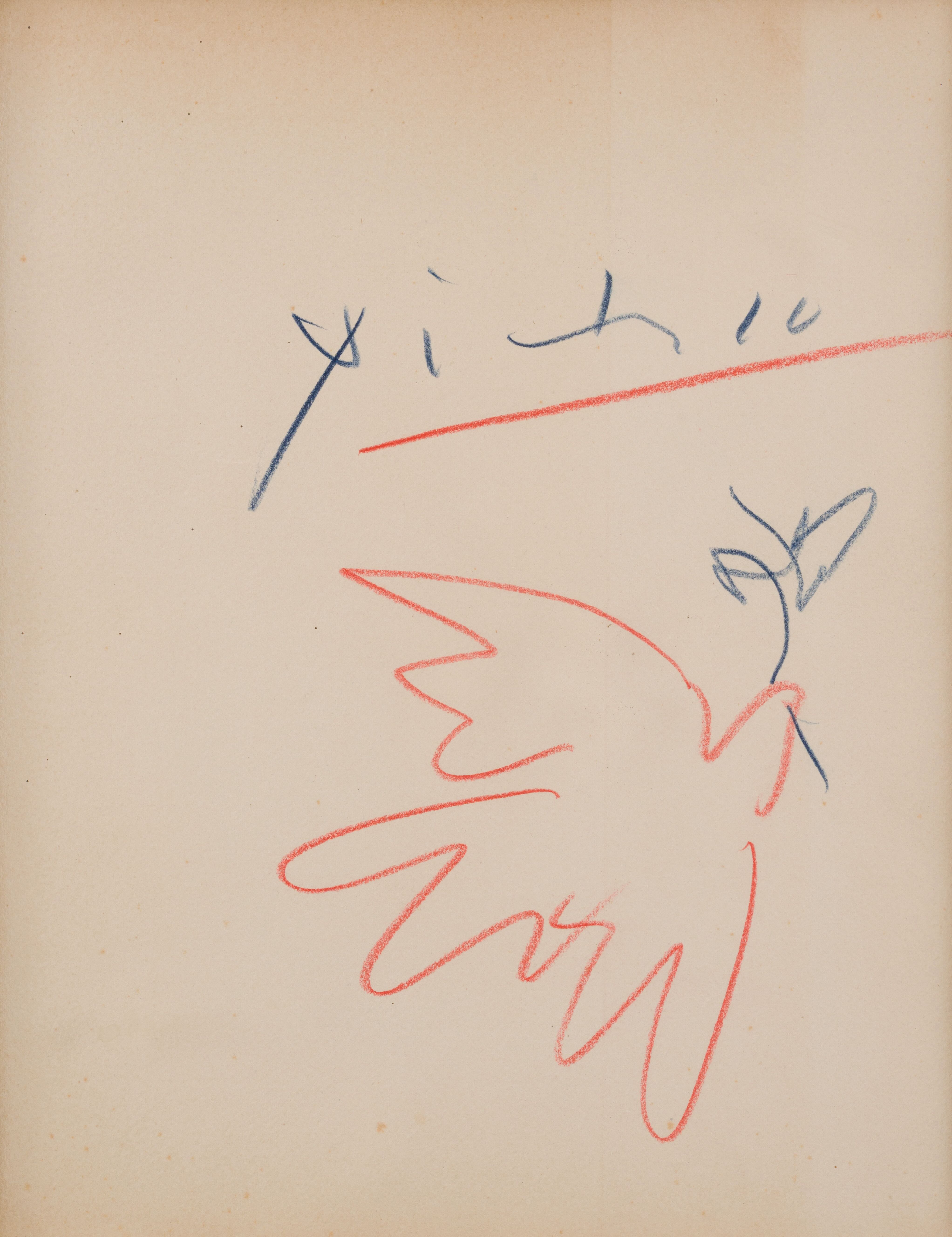 Colombe - Pablo Picasso (1881 - 1973)