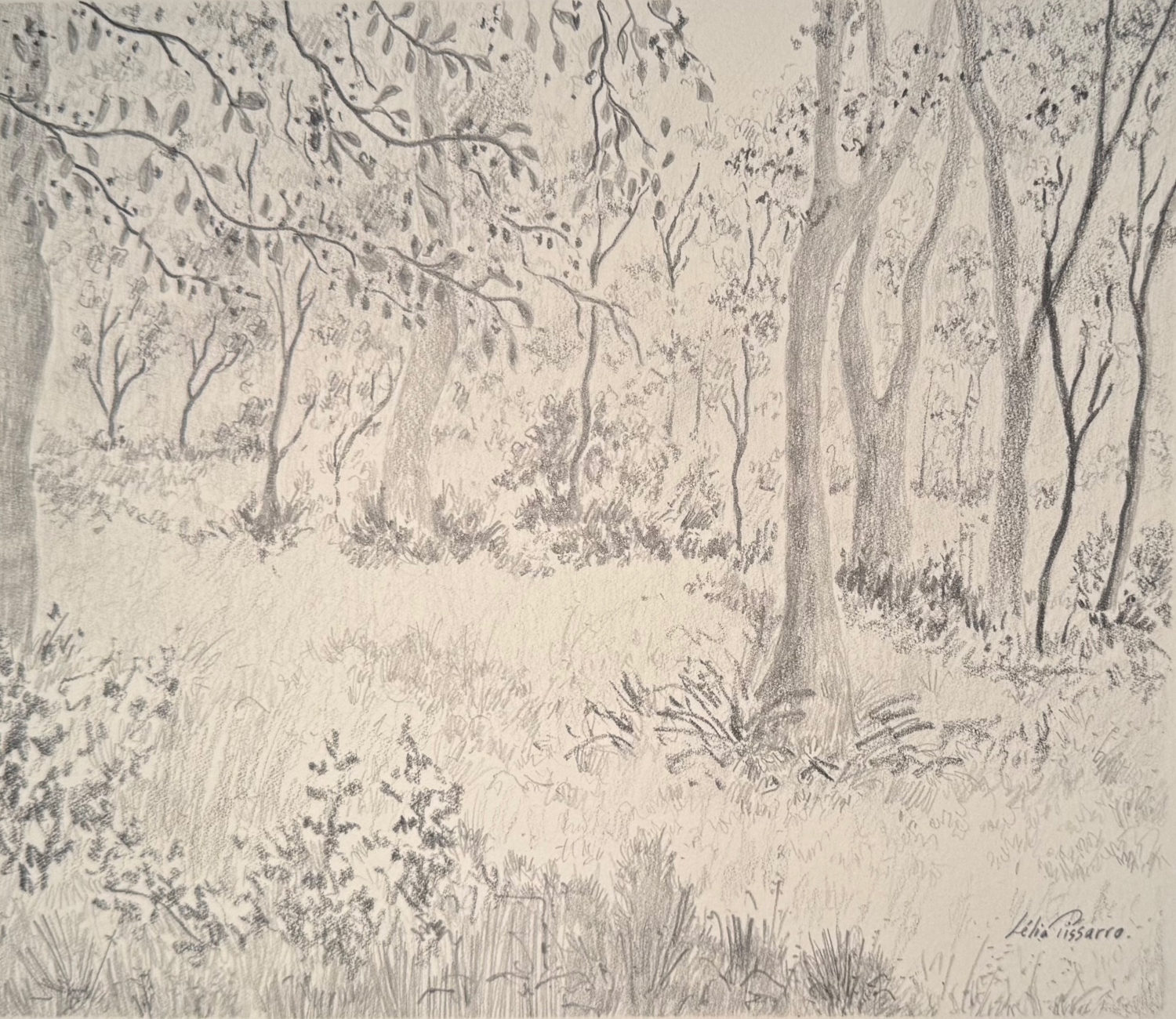 Mandy's Forest - Lélia Pissarro, Figurative (b. 1963 - )
